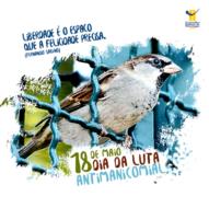 CRPMT sugere agenda contínua de discussão sobre Luta Antimanicomial