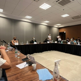 Representantes do CRP18-MT participam de reuniões da APAF em Brasília (DF)