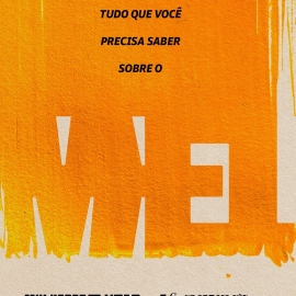 Festival Mulheres em Lutas fortalece articulações nacionais contra a Violência Política de Gênero e Raça